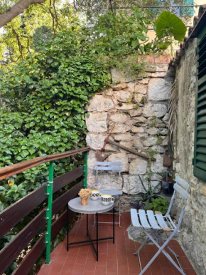 House Nenolino